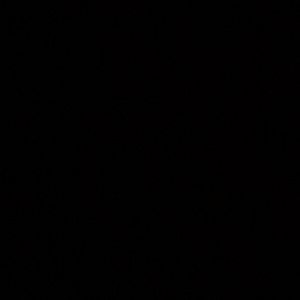 Meet your Posher, Shaunte